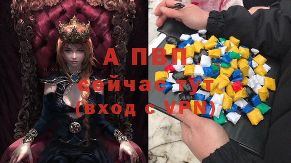 стаф Богородск