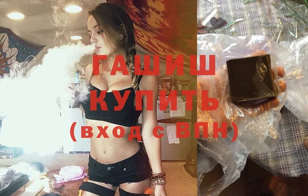 стаф Богородск