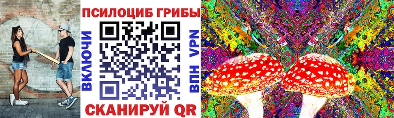 закладки  Торопец  Псилоцибиновые грибы мухоморы 
